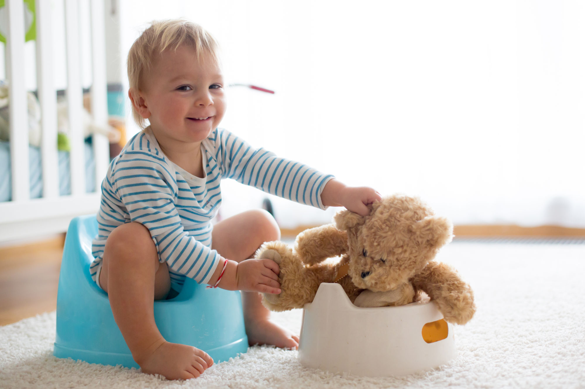 Certificazione Potty training <br/> PRESTO DISPONIBILE